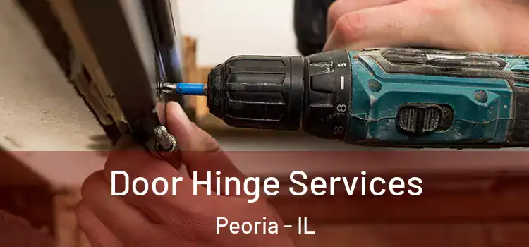 Door Hinge Services Peoria - IL