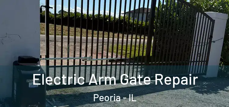 Electric Arm Gate Repair Peoria - IL