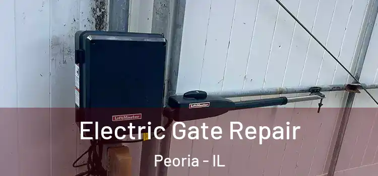  Electric Gate Repair Peoria - IL
