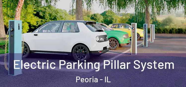  Electric Parking Pillar System Peoria - IL