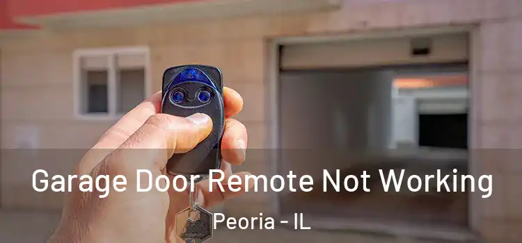  Garage Door Remote Not Working Peoria - IL