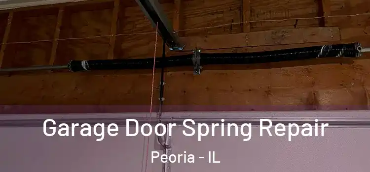  Garage Door Spring Repair Peoria - IL