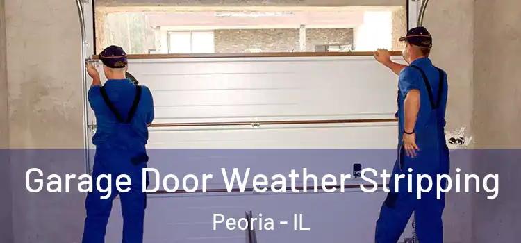  Garage Door Weather Stripping Peoria - IL