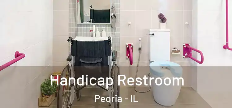 Handicap Restroom Peoria - IL