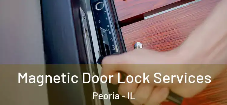  Magnetic Door Lock Services Peoria - IL