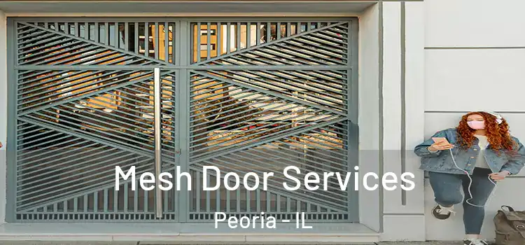 Mesh Door Services Peoria - IL