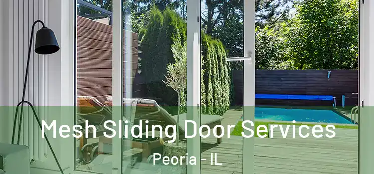 Mesh Sliding Door Services Peoria - IL
