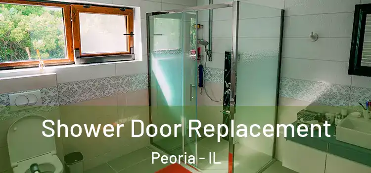  Shower Door Replacement Peoria - IL