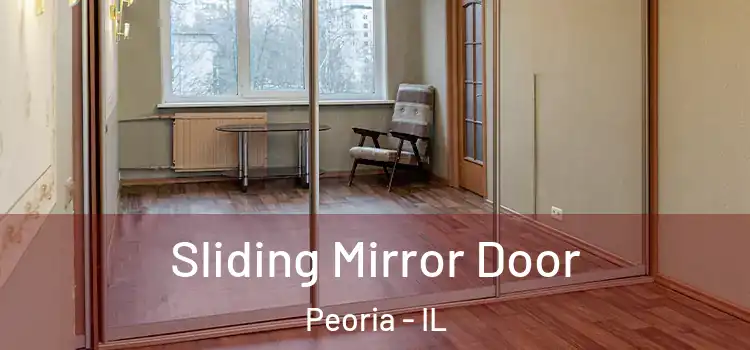  Sliding Mirror Door Peoria - IL