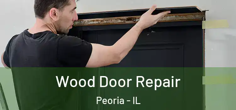  Wood Door Repair Peoria - IL
